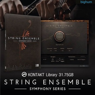 ภาพหน้าปกสินค้าKONTAKT Symphony Series - String Ensemble ที่เกี่ยวข้อง