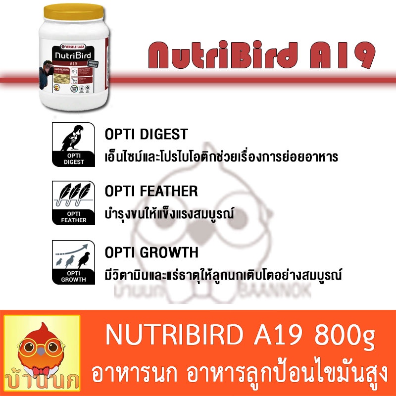 nutribird-a19-800g-โฉมใหม่-อาหารนกลูกป้อน-สำหรับลูกนกที่ต้องการพลังงานไขมันสูง-อาหารนก-อาหารลูกนก-ลูกป้อน-high-fat