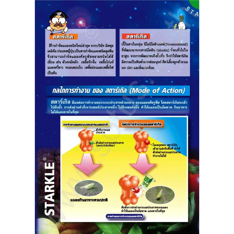 สตาร์เกิล-starkle-100-กรัม-สารกำจัดแมลงชนิดดูดซึม-เพลี้ยไฟ-แมลงปากดูด-เช่น-เพลี้ยกระโดดสีน้ำตาล-เพลี้ยจักจั่น