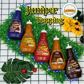 จูนิเปอร์ ทอปปิ้ง Juniper Topping ไซรัปท็อปปิ้ง ชนิดขวดบีบมี 4 รส ช็อกโกแลต,สตรอเบอร์รี่,บลูเบอร์รี่,บัตเตอร์สก๊อต (คารา