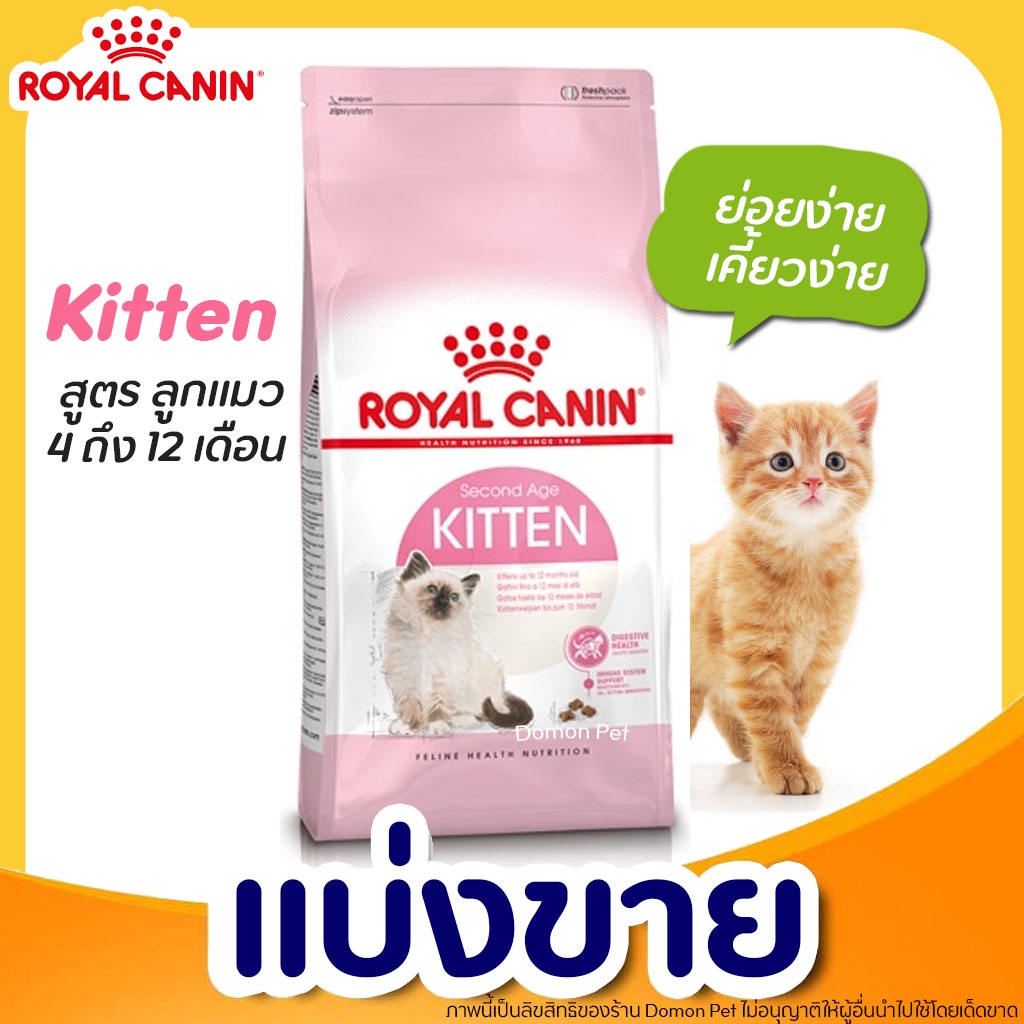 แบ่งขาย-royal-canin-อาหารแมว-แบ่งขาย-สูตรแมวเด็ก-บรรจุถุงซิลล็อก-ซีลร้อน-แบบตั้งได้-g2