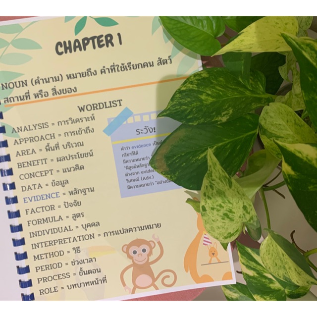 สรุปคำศัพท์-vocabulary-เหมาะกับชั้นมัธยมต้น-หรือผู้ที่ต้องการสร้างวินัยในการท่องคำศัพท์