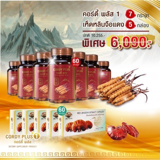 ‼️7แถม5‼️สุดคุ้ม ถั่งเช่าทิเบตแท้ Cordy plus1 7กระปุก แถมฟรี‼️เห็ดหลินจือแดงสกัดแท้5กล่อง⚡️