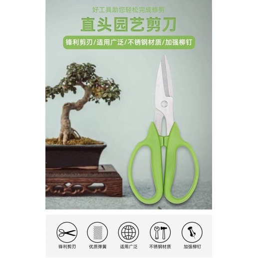 gardening-series-stainless-steel-scissors-กรรไกรตัดตกแต่งกิ่งไม้