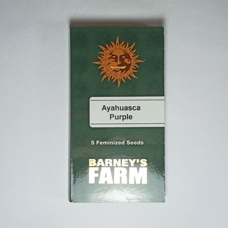 เมล็ดกัญชา Barneys farm Ayahuasca Purple 5 cannabis seeds