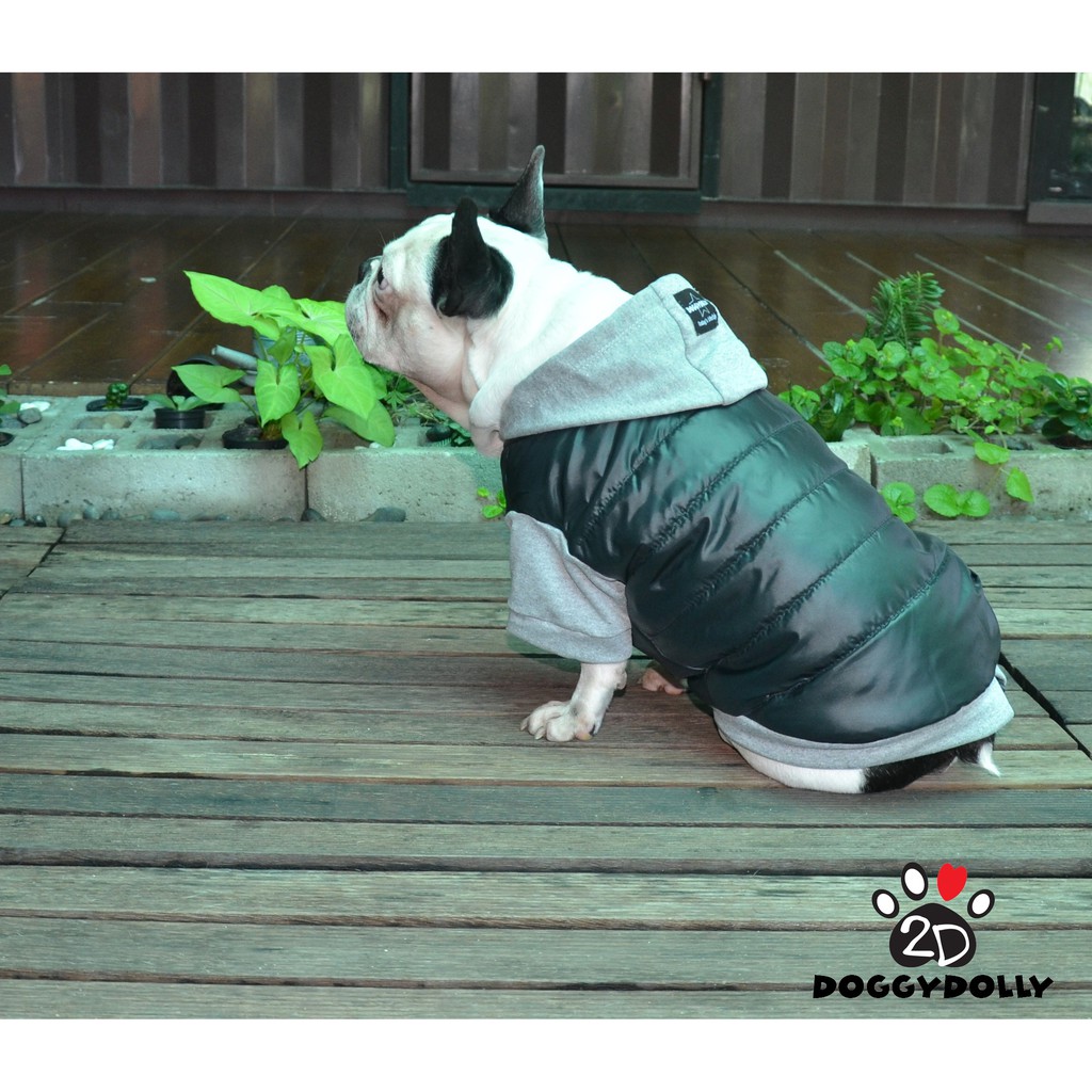 fatdog-pet-cloths-doggydolly-ชุดกันหนาว-ชุดหมาอ้วน-เฟร้น-ปั๊ก-บีเกิ้ล-บลูด็อก-เสื้อผ้าสุนัข-เสื้อหมา-หมาอวบ-fp-w109