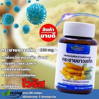 กระชายขาว สกัดชนิดแคปซูล 250 mg