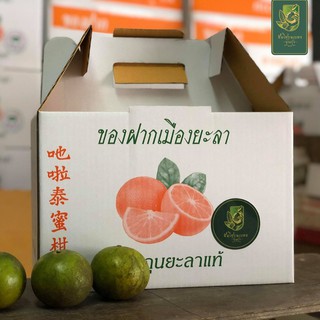 ส้มโชกุนเบตงแท้ เบอร์ 1 ( 7 ลูก/กิโลกรัม) กล่อง 5 กิโลกรัม