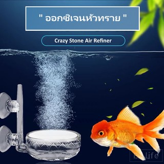 EZ หัวทรายออกซิเจน เครื่องฟอกอากาศ ตู้ปลา อากาศในน้ำ Air Refiner Oxygen Nano Diffuser Pump Fish Tank Co2 Acrylic Large