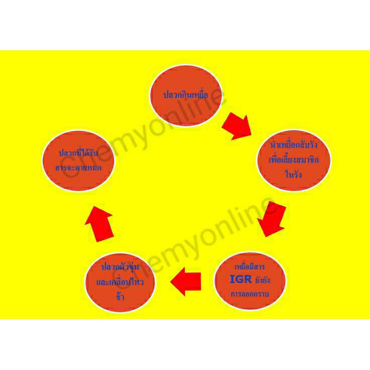 เหยื่อกำจัดปลวกtermatrix-100-กรัม-active-plus-100-กรัม-อาหารปลวก-กำจัดปลวก