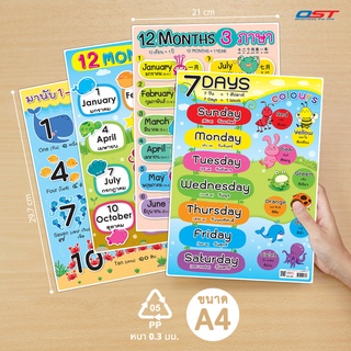 ภาพหน้าปกสินค้าแผ่นความรู้พลาสติก ขนาด A4 ( 12 Months 3 ภาษา, 7 Days , 12 Months , มานับ 1-10 )หนา 0.3 มม. ซึ่งคุณอาจชอบราคาและรีวิวของสินค้านี้