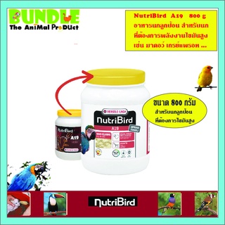 NutriBird A19 800 g. อาหารนกลูกป้อน  อาหารลูกป้อน สำหรับลูกนกที่ต้องการพลังงานไขมันสูง ขนาด 800 กรัม