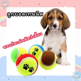 ภาพหน้าปกสินค้าFidoz​ Fidoz​ ลูกบอลเทนนิส​ ของกัดเล่นสัตว์​เลี้ยง​ บอลสุนัข​ ของเล่นหมา ซึ่งคุณอาจชอบสินค้านี้