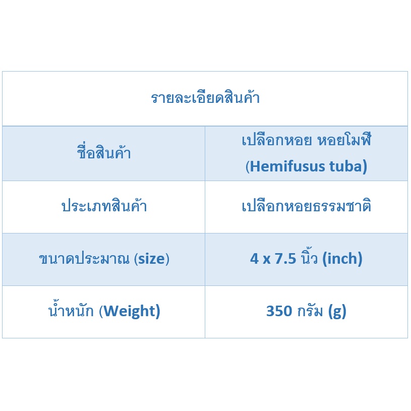 andaman-seashell-เปลือกหอย-หอยโมฬี-hemifusus-tuba