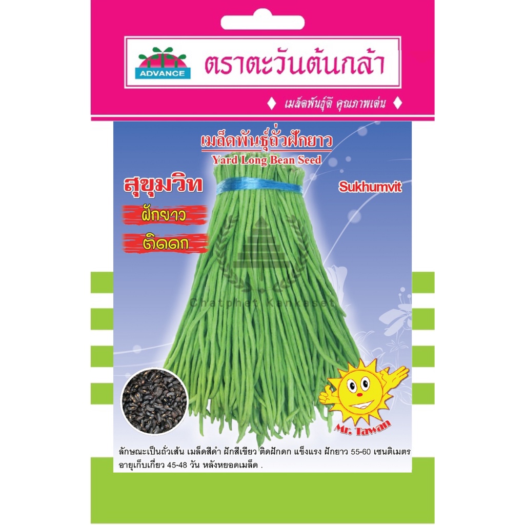 เมล็ดพันธุ์-ถั่วฝักยาว-สุขุมวิท-8-กรัม-ซอง-ตราตะวันต้นกล้า