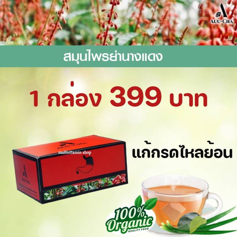 auu-cha-อู่ชา-ชาลดกรดไหลย้อน-ชาแก้กรดไหลย้อน-สมุนไพรลดกรดไหลย้อน-สมุนไพรแก้กรดไหลย้อน-สมุนไพรย่านางแดง