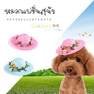 ภาพหน้าปกสินค้าหมวกฟาง หมวกฟางแฟนซี หมวกสุนัข หมวกฟางสุนัข หมวกสัตวืเลี้ยง หมวกแมว ที่เกี่ยวข้อง