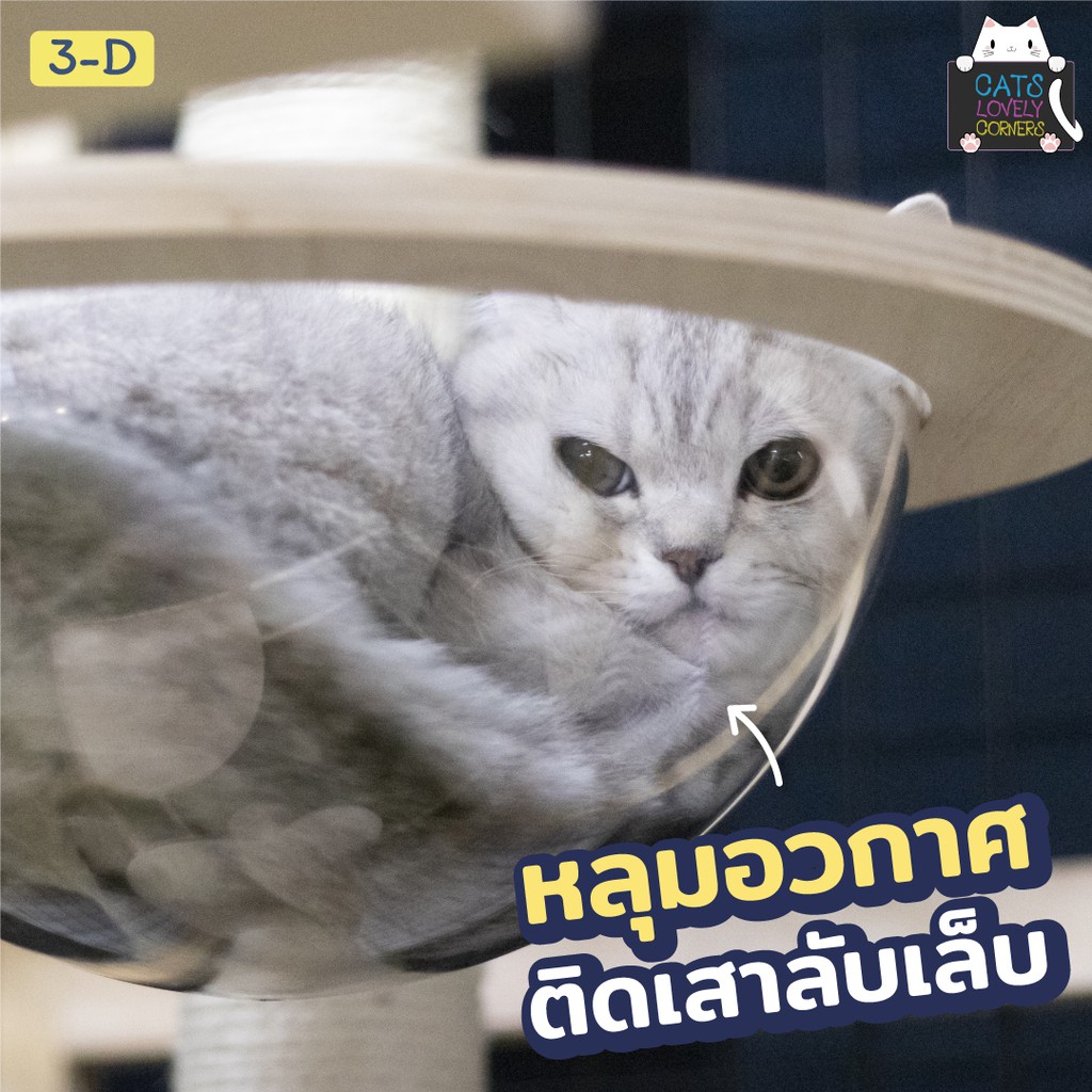 กรงแมว-บ้านแมว-รุ่น3-d-อุปกรณ์ครบ-กรงแมวกว้างใหญ่-ราคาพิเศษ