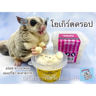 ภาพหน้าปกสินค้า( PARADISE PET โยเกิร์ตดรอป ) YOGHURTDROP yoghurt drop ขนม อาหาร สัตว์เล็ก ชูการ์ แฮมสเตอร์ กระรอก ดอร์เมาส่ นม นมทดแทน ที่เกี่ยวข้อง