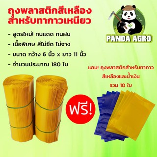 สินค้า ถุงพลาสติกสีเหลือง สำหรับทากาวเหนียวดักแมลง *** ฟรี! ถุงพลาสติกสีเหลือง 5 ใบ สีน้ำเงินฟ้า 5 ใบ ***
