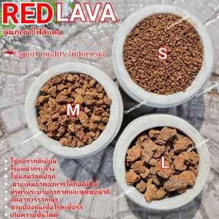 หินภูเขาไฟสีแดง‼️ Redlava rockถุง1kg. ล่อราก/โรยหน้าดิน/ผสมปลูก.