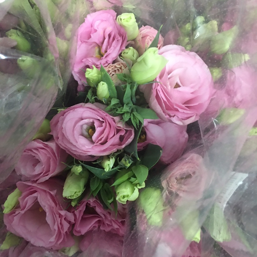 ดอกไลเซนทัส-ดอกไม้สด-350-ดอกจริงสวยสด-รับประกันคุณภาพ