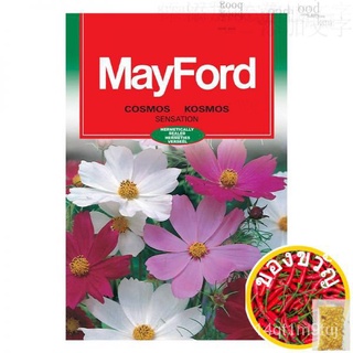 Far East Flora - Mayford Seeds Cosmos - Sensation Mixed园艺/向日葵/苹果/通心菜/seeds/头饰/鲜花/种子/男装/香菜//กุหลาบ 7VVN