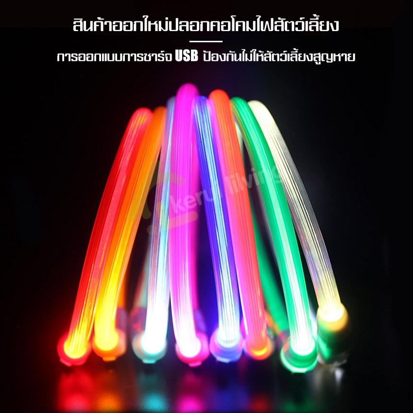 ปลอกคอหมาเรืองแสง-ปรับได้-ปลอกคอสุนัข-ปลอกคอแมว-pet-collar-เรืองแสง-led-ปลอกคอสัตว์เลี้ยง-ปลอกคอมีไฟ-มี-5-สี-ชาร์จ-usb