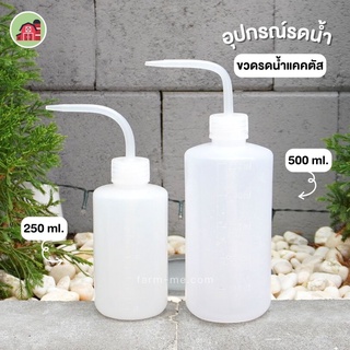 ขวดรดน้ำต้นแคคตัส สีขาวขุ่น ขนาด 250-500มล. ฟ้อกกี้ ขวดรดน้ำ บัวรดน้ำ