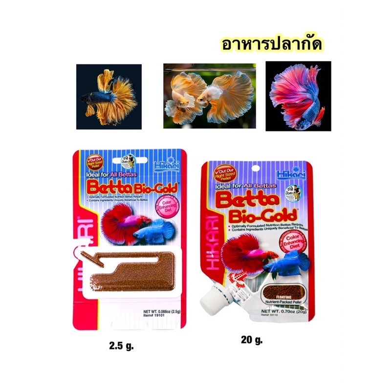 hikari-betta-bio-gold-อาหารปลากัด-โปรตีนสูง-สูตรเร่งสีพิเศษ