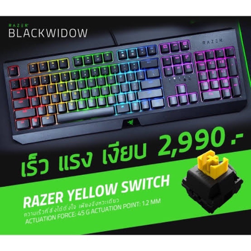 Razer Blackwidow yellow switch | Shopee Thailand