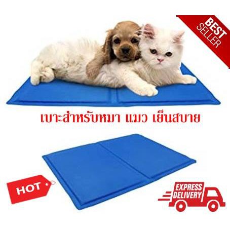 pet-cool-mat-แผ่นเจลรองนอนหมาเหมาะสำหรับน้องหมาพันธ์ทอย-เช่น-ชิวาวา-และแมว-พันธุ์เล็กๆ-size-s-30-40-cm