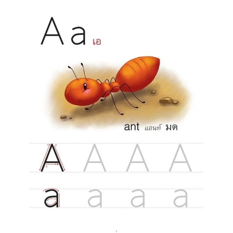 ชุดการ์ด-คัด-เขียน-อ่าน-ก-ไก่-abc-123-แถมฟรี-ปากกาหมึกล่องหน