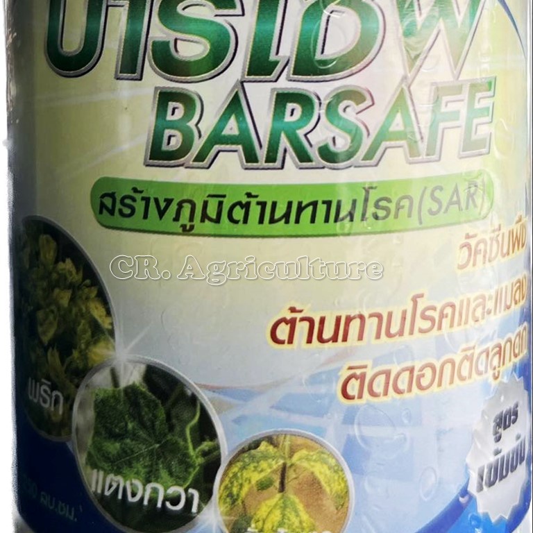 วัคซีนพืช-บาร์เซฟ-250-ซีซี-สร้างภูมิต้านทานโรคพืชและแมลง-ป้องกันโรคไวรัส-โรคใบด่าง-ใบเหลือง-สารเพิ่มประสิทธิภาพ