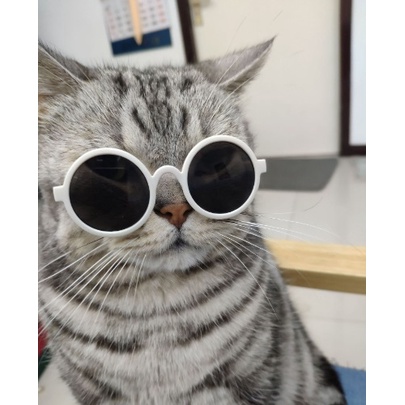 แว่นหมาแมว-แว่นตาแฟชั่นหมาแมว-พร้อมส่ง
