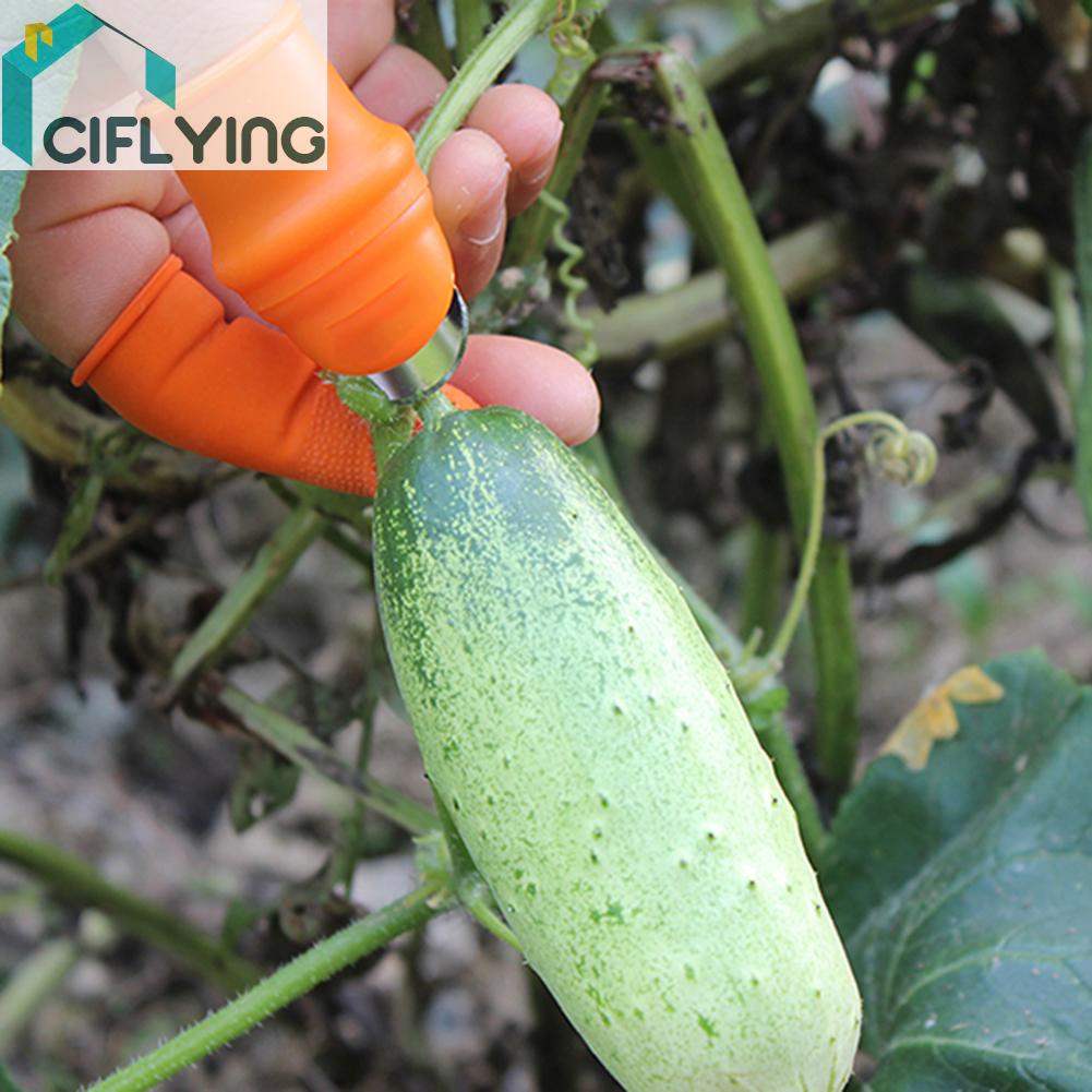 ciflying-มีดซิลิโคน-ป้องกันนิ้วหัวแม่มือ-ตัดเล็บ-สวน-หยิบ-แยกพืช