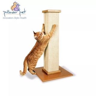 Smart Cat (SmartCat) - The Ultimate Scratching Post คอนโดแมว ที่ฝนเล็บตั้งพื้น