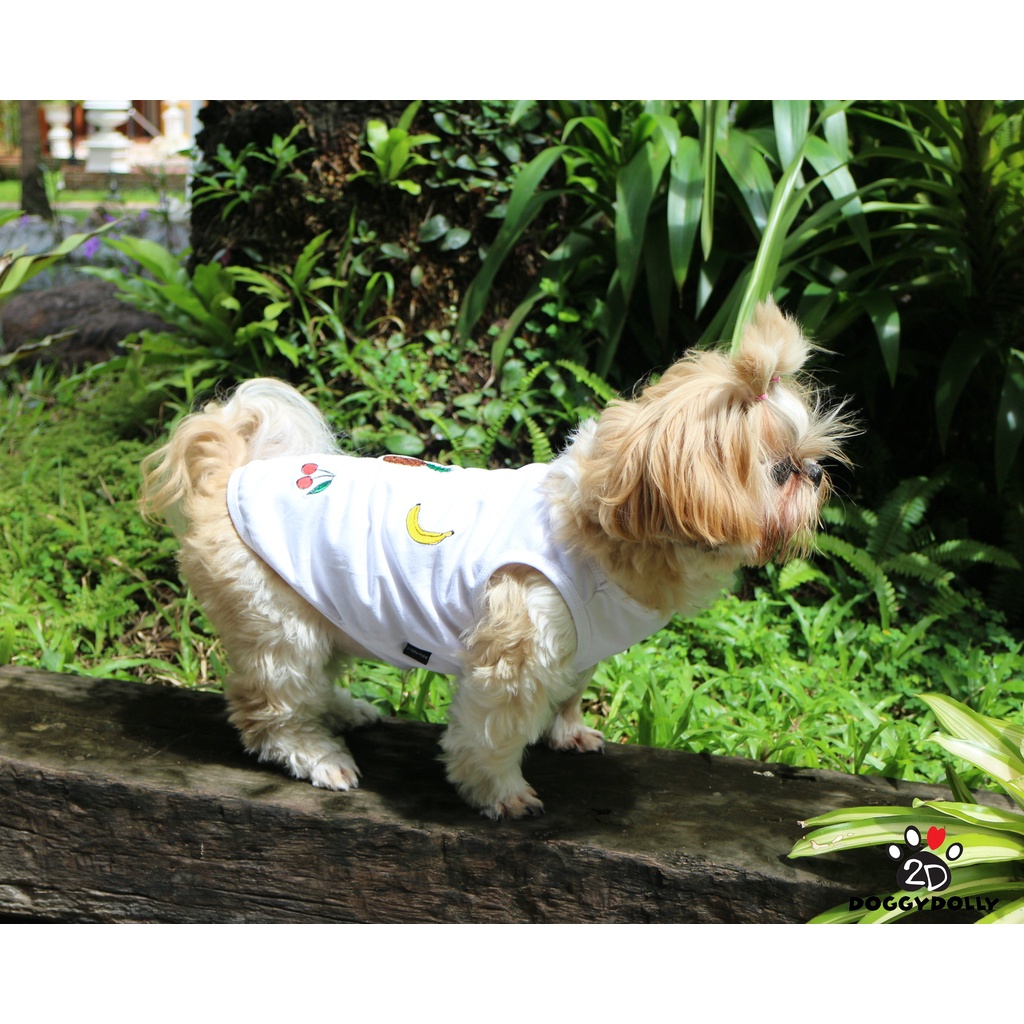 pet-clothes-doggydolly-เสื้อผ้าแฟชั่น-เสื้อผ้าสัตว์เลี้ยง-เสื้อผ้าหมาแมว-เสื้อยืด-at4