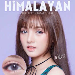 Himalayan Gray (1) สีเทา มินิ เทา ไม่มีขอบ ลายเล็กๆ น่ารัก ใส่แล้วกลายเป็นสาวน้อยสดใส Pretty Doll Contact Lens Bigeyes ค