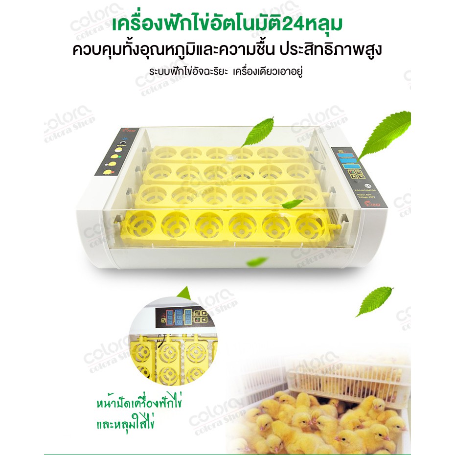 เครื่องฟักไข่-ตู้ฟักไข่-ตู้อบไข่-cd10-เครื่องฟักไข่อัตโนมัติ-ตู้ฟักไข่ไก่-ฟักไข่ไก่-ไข่เป็ด-ไข่นก-24-ฟอง
