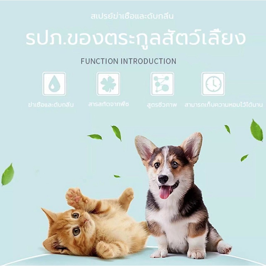 แนะนำ-baolaimeilu-สเปรย์ดับกลิ่นฉี่บนที่นอนโซฟาและทำความสะอาด-สเปรย์ดับกลิ่น-ดับกลิ่นขี้แมว-สเปรย์ไล่แมว-กำจัดกลิ่นฉี่ด