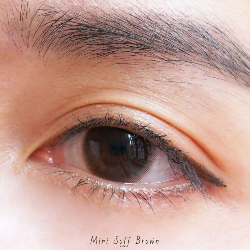 mini-soff-brown-soft-สายตาปกติถึง-4-75-คอนแทคเลนส์-kitty-kawaii