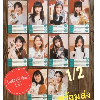 (พร้อมส่ง) 1/2 Photoset Cat Idol CGM48 แคทไอดอล คนิ้ง มาร์มิ้ง ฟอร์จูน สิตา ออม แชมพู นีนี่ พิม แองเจิล ปิ้ง ปาริมะ ถูก