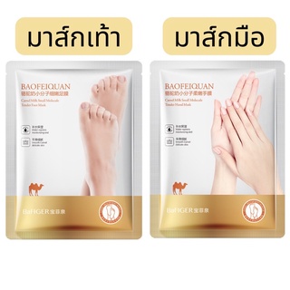 มาส์เท้ามาส์กมือ Camel Milk บำรุงผิวอย่างล้ำลึก เพิ่มความชุ่มชื้นต่อผิว ลดเลือนริ้วลอย ทำให้ผิวนุ่มและเรียบเนียน