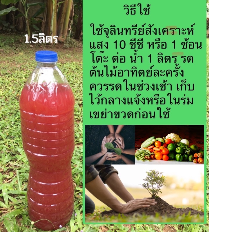 จุลินทรีย์สังเคราะห์แสง-1-5-ลิตร-น้ำหมัก-ปุ๋ยอินทรีย์-คุณภาพสูง