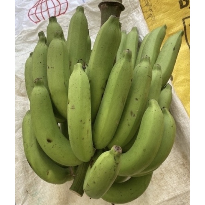 รูปภาพของกล้วยหอมทองปลอดสาร  สวนอาม่าอัมพวา     กล้วยหอมอัมพวาลองเช็คราคา