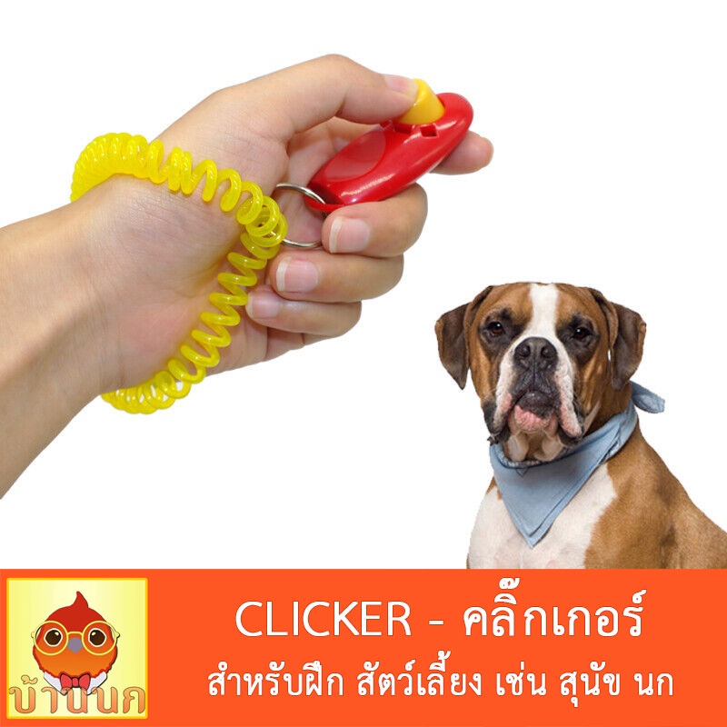 clicker-คลิ๊กเกอร์-ฝึกสัตว์เลี้ยง-ฝึกสุนัข-ฝึกนก-นกแก้ว-หมา-สุนัข-pet-training