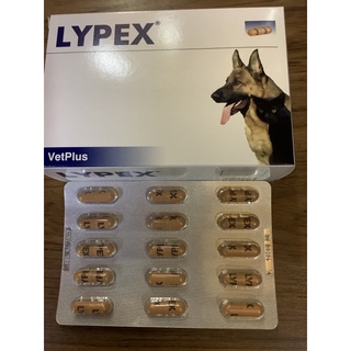 Lypex อาหารเสริมช่วยย่อยสำหรับสุนัขและแมวที่มีความผิดปกติของการย่อยอาหารและตับอ่อนอักเสบ