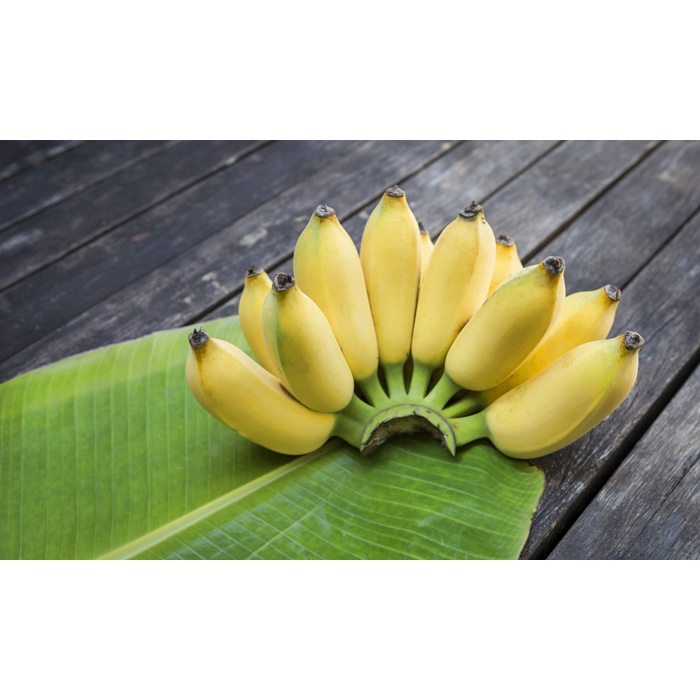 กล้วยน้ำหว้า-สำหรับรับประทาน-ราคาหวีละ-39-บาท-กล้วยสดจากสวน-ที่บ้านที่เชียงราย-ไม่มีสารพิษ-ปลูกแบบธรรมชาติ-อร่อย