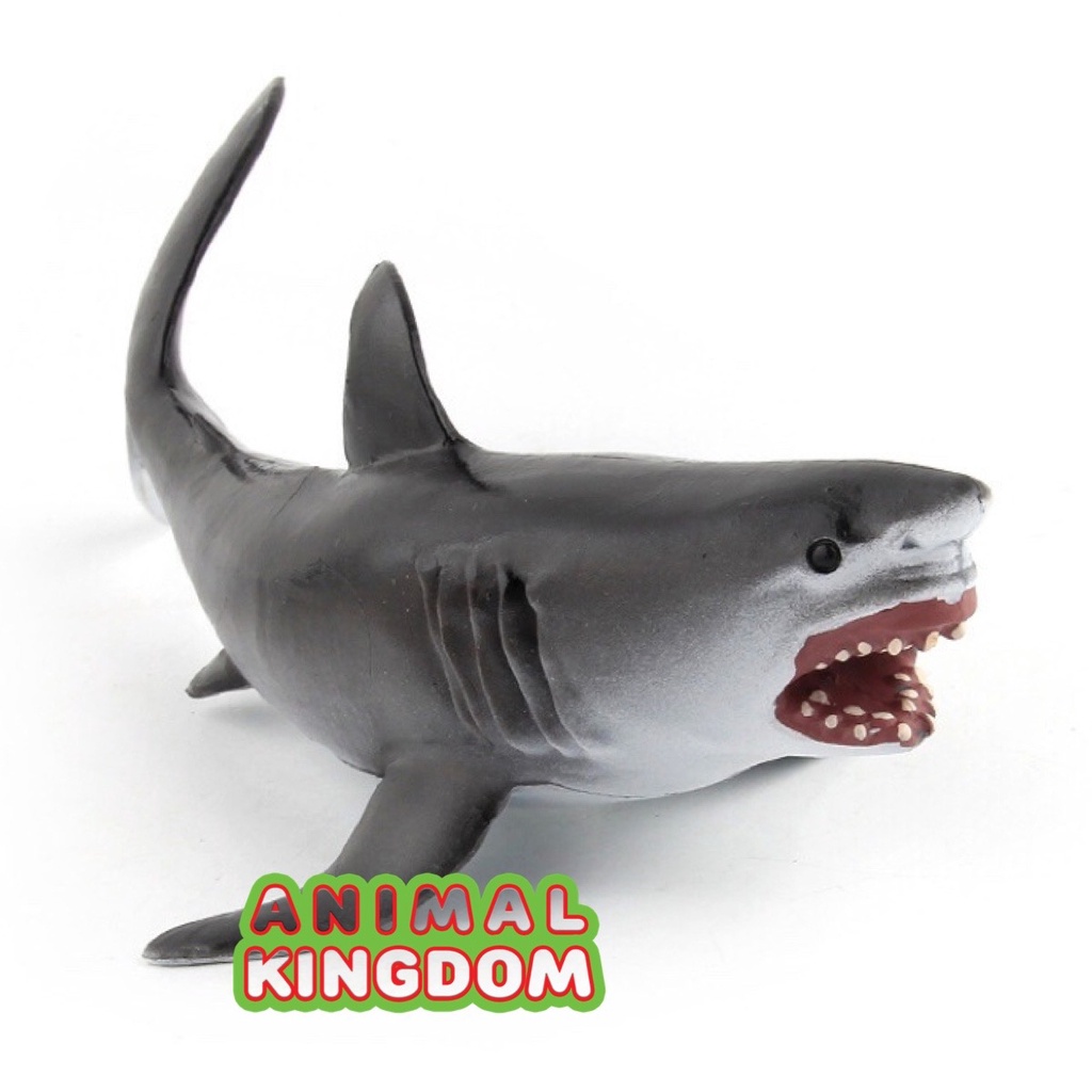 animal-kingdom-โมเดลสัตว์-ฉลามขาว-ขนาด-24-00-cm-จากสงขลา